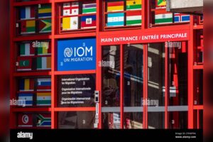 More than 184,000 displaced in Yemen since August as fighting intensifies, IOM reports