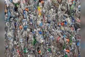 Recycled PET Prices 2026: Latest Trends, Chart & Forecast